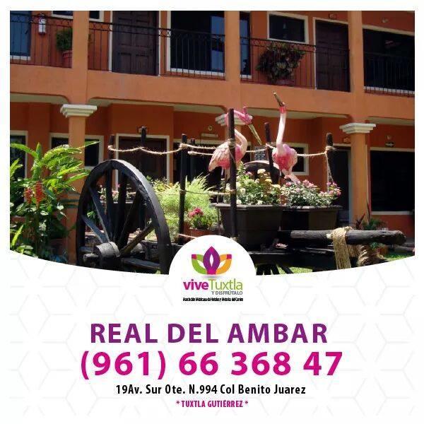 Real Del Ambar